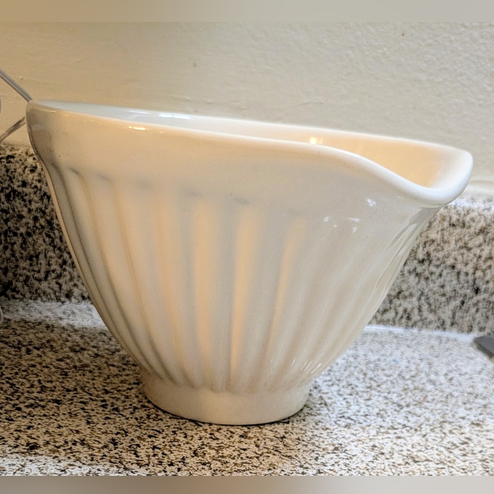 Elegant White Ceramic Bowl
